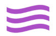 Logo South Fly